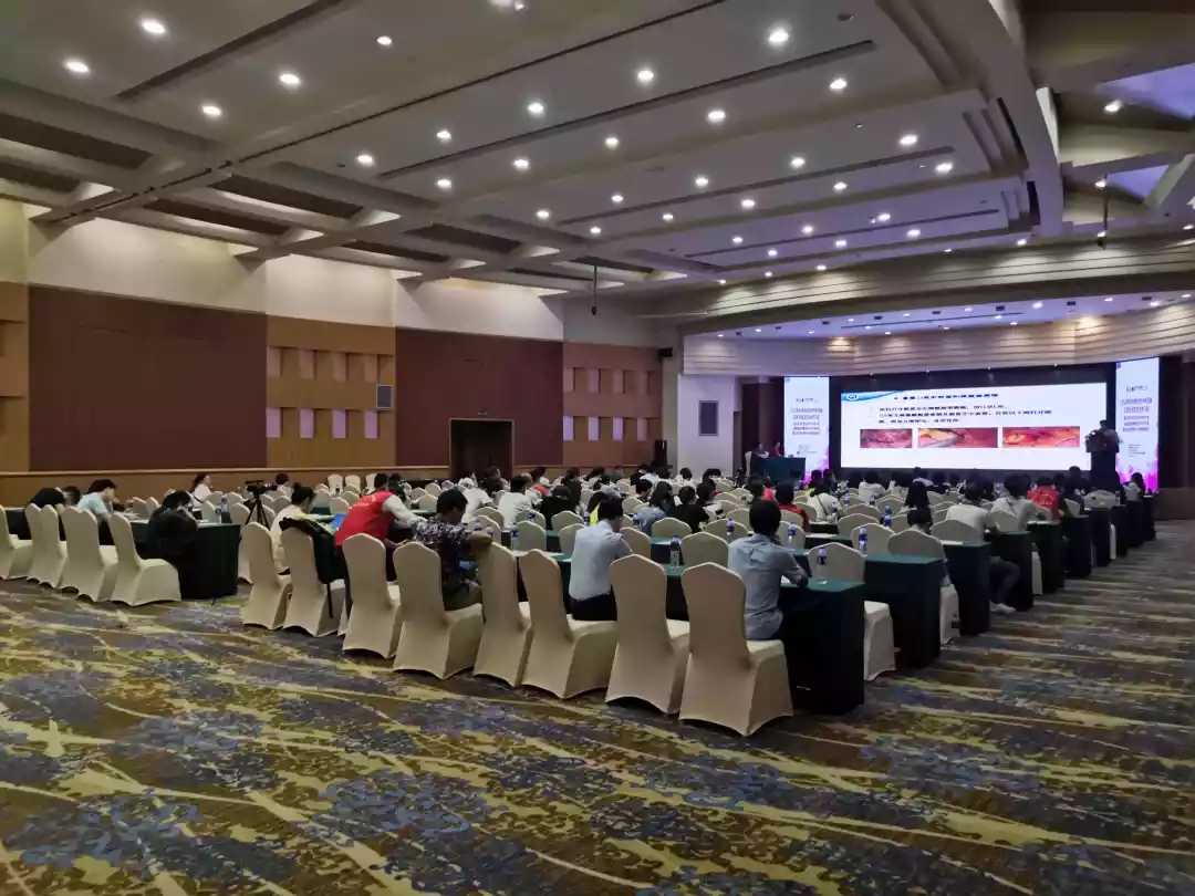 c66ac4b58056431d8158e8d02af26242-sz_501100.webp.jpg c66ac4b58056431d8158e8d02af26242-sz_501100.webp.jpg