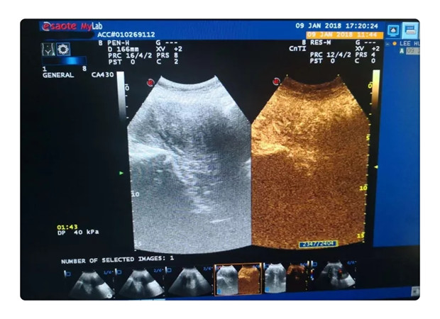 3f0d98e6-2276-491c-91da-ddb01d61cbda.jpg 3f0d98e6-2276-491c-91da-ddb01d61cbda.jpg